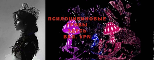 2c-b Лабытнанги