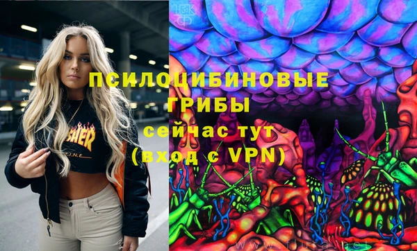 крисы Алексеевка