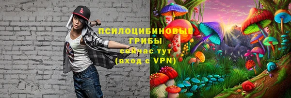крисы Алексеевка