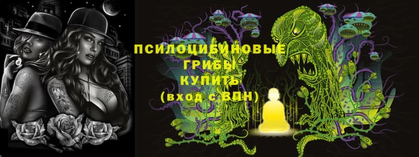 крисы Алексеевка