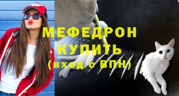 твердый Аркадак