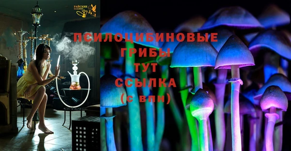 крисы Алексеевка