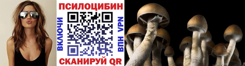 нарко площадка состав  Москва  Псилоцибиновые грибы Psilocybine cubensis  продажа наркотиков 