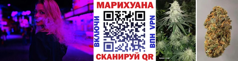Бошки Шишки Amnesia  Москва 